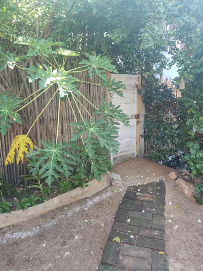 فندق Casa Tonantzin زيبوليت المظهر الخارجي الصورة